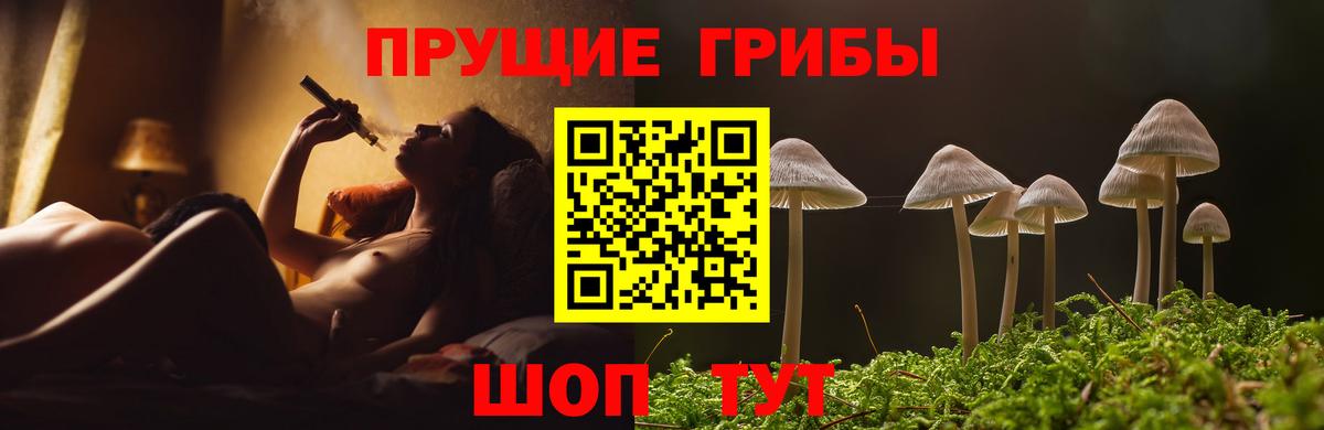 магазин продажи наркотиков  Вход с VPN  Озёрск  Псилоцибиновые грибы GOLDEN TEACHER 